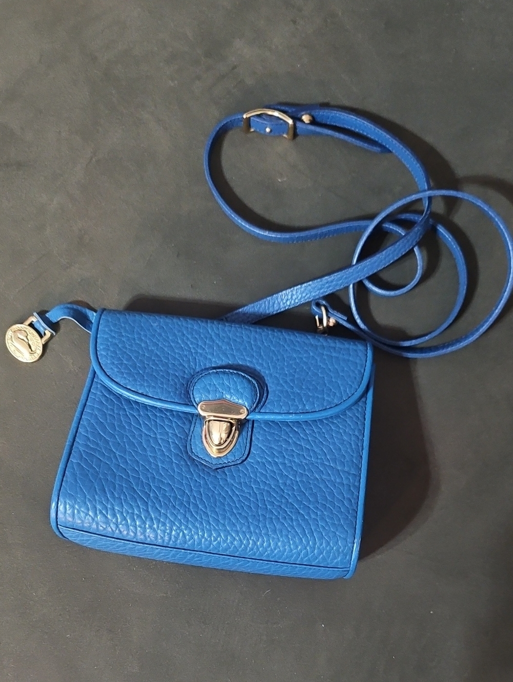 Vintage Dooney & Bourke Blue Pebbled Leather Crossbody Bag